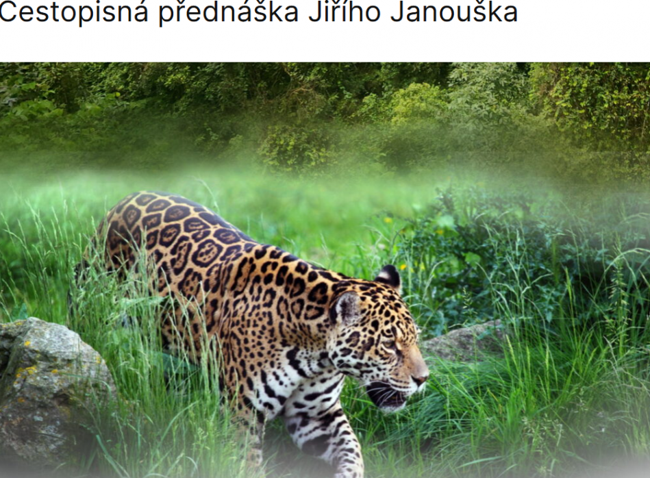 Hlavní foto