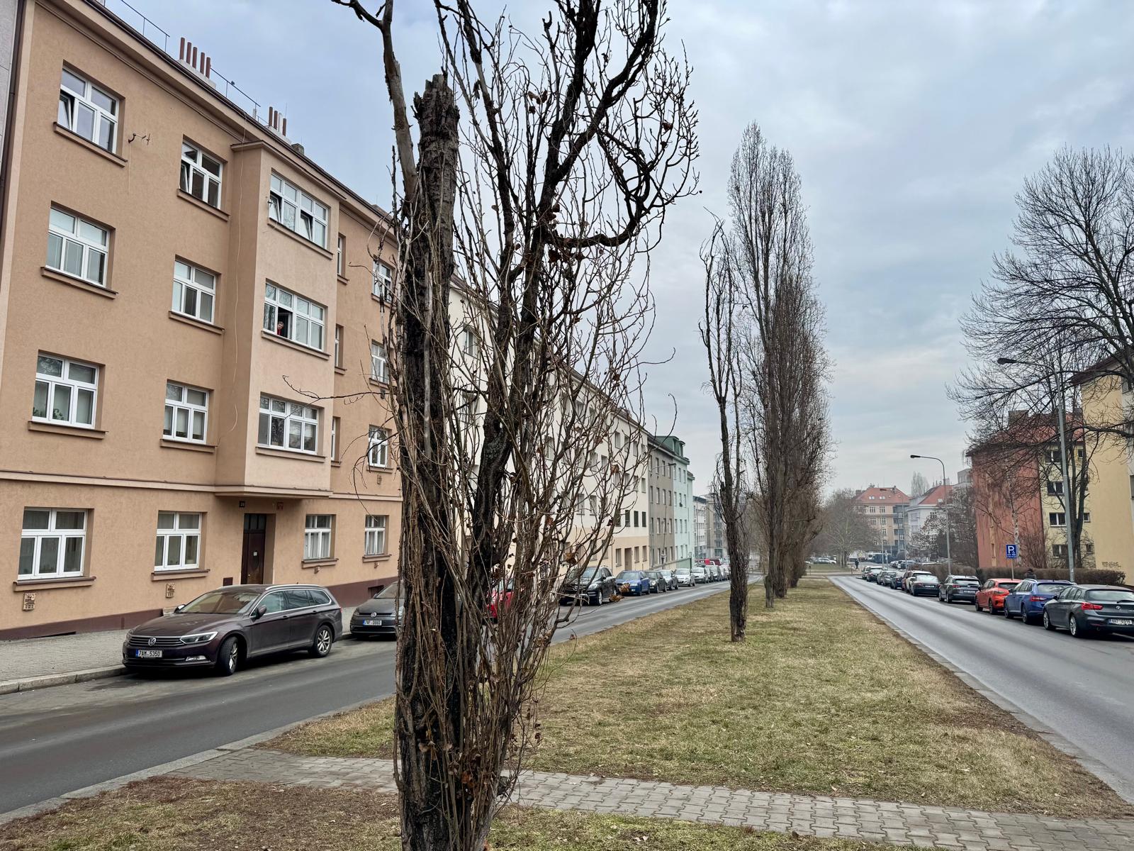 Hlavní foto
